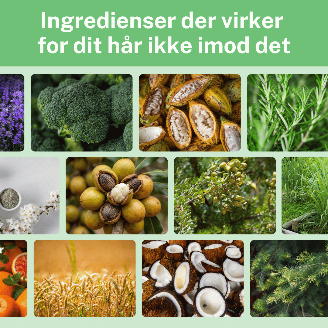 Nærva Shampoo Bar
