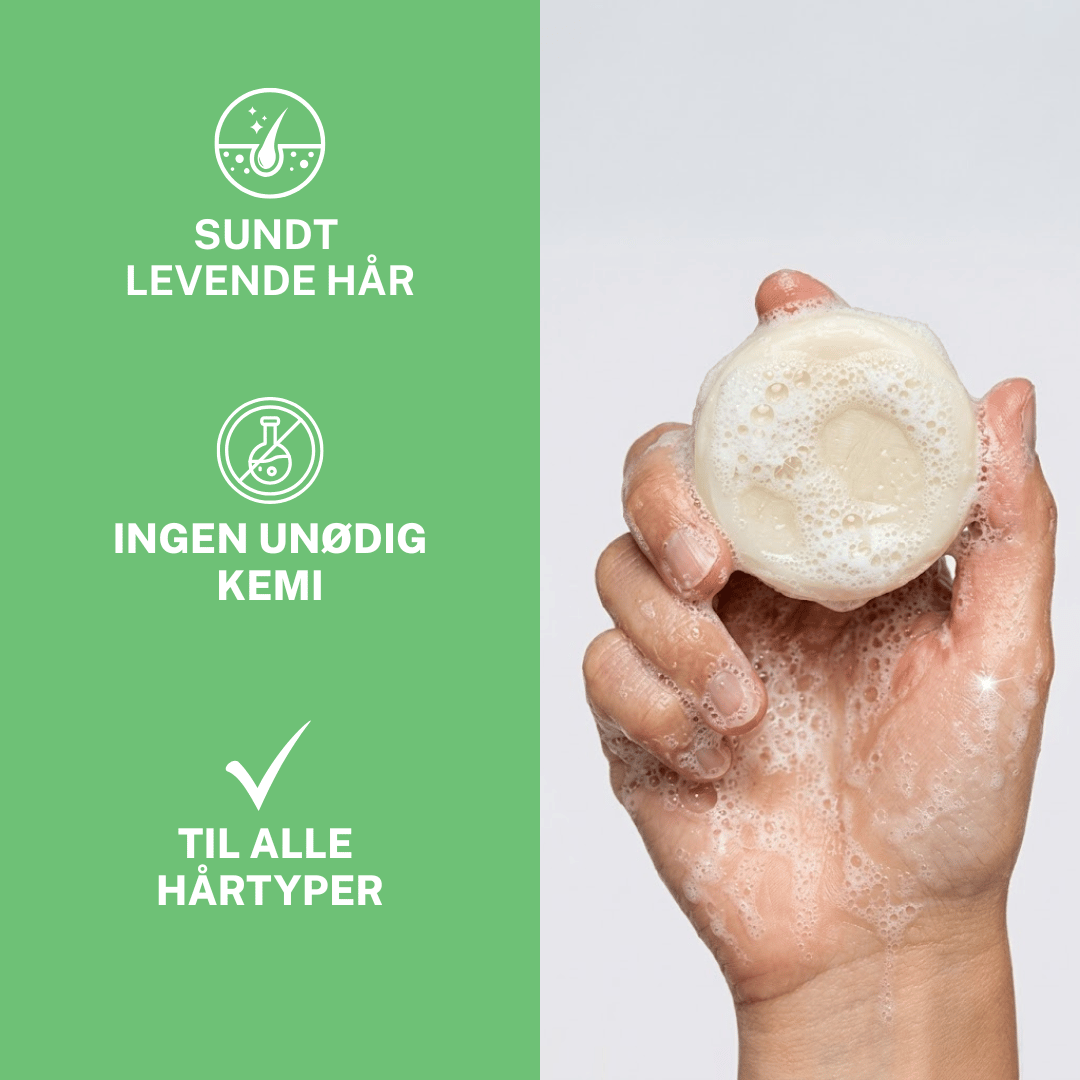 Nærva Shampoo & Balsam Bar Sæt